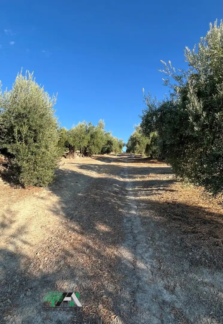 Terreno industrial en venta en Úbeda, imagen 9