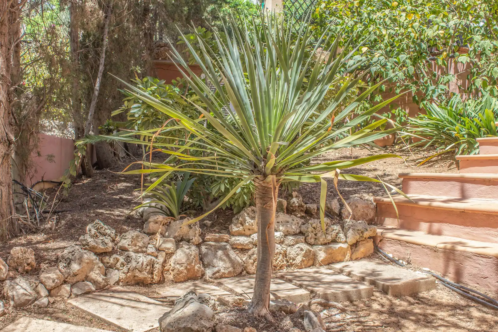 Garten von Einfamilien-Reihenhaus zum Verkauf in Calvià mit Klimaanlage, Heizung und Terrasse