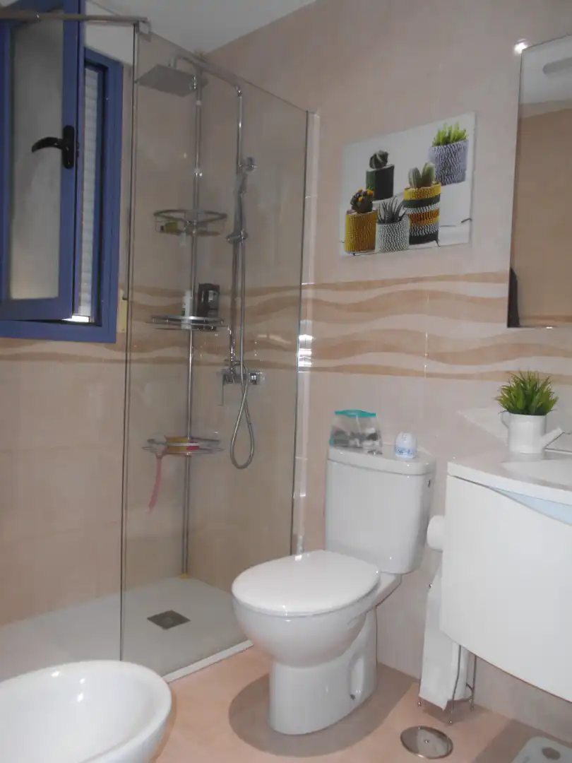 Dúplex con piscina en venta en Calle Camino de la Pedregosa, imagen 23