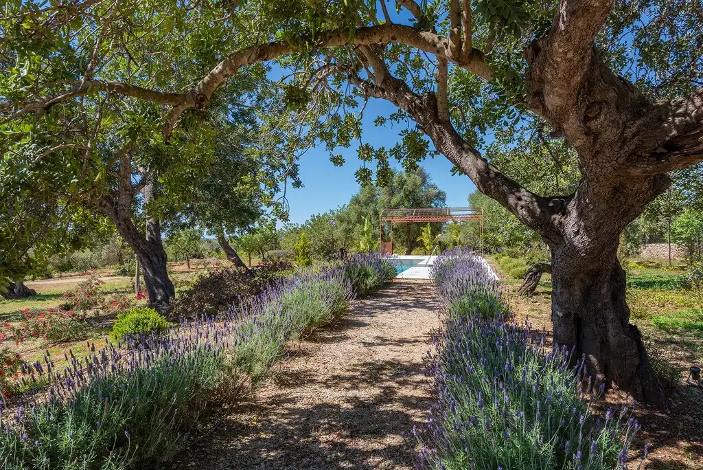 Casa rústica con piscina en venta en Alaró, imagen 25