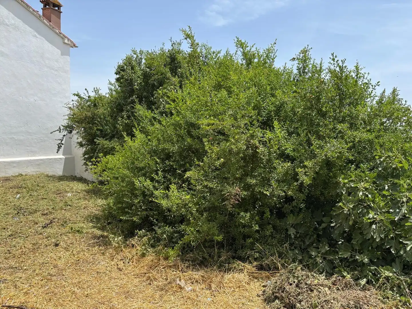 Casa rústica en venda a Casarabonela, imagen 2