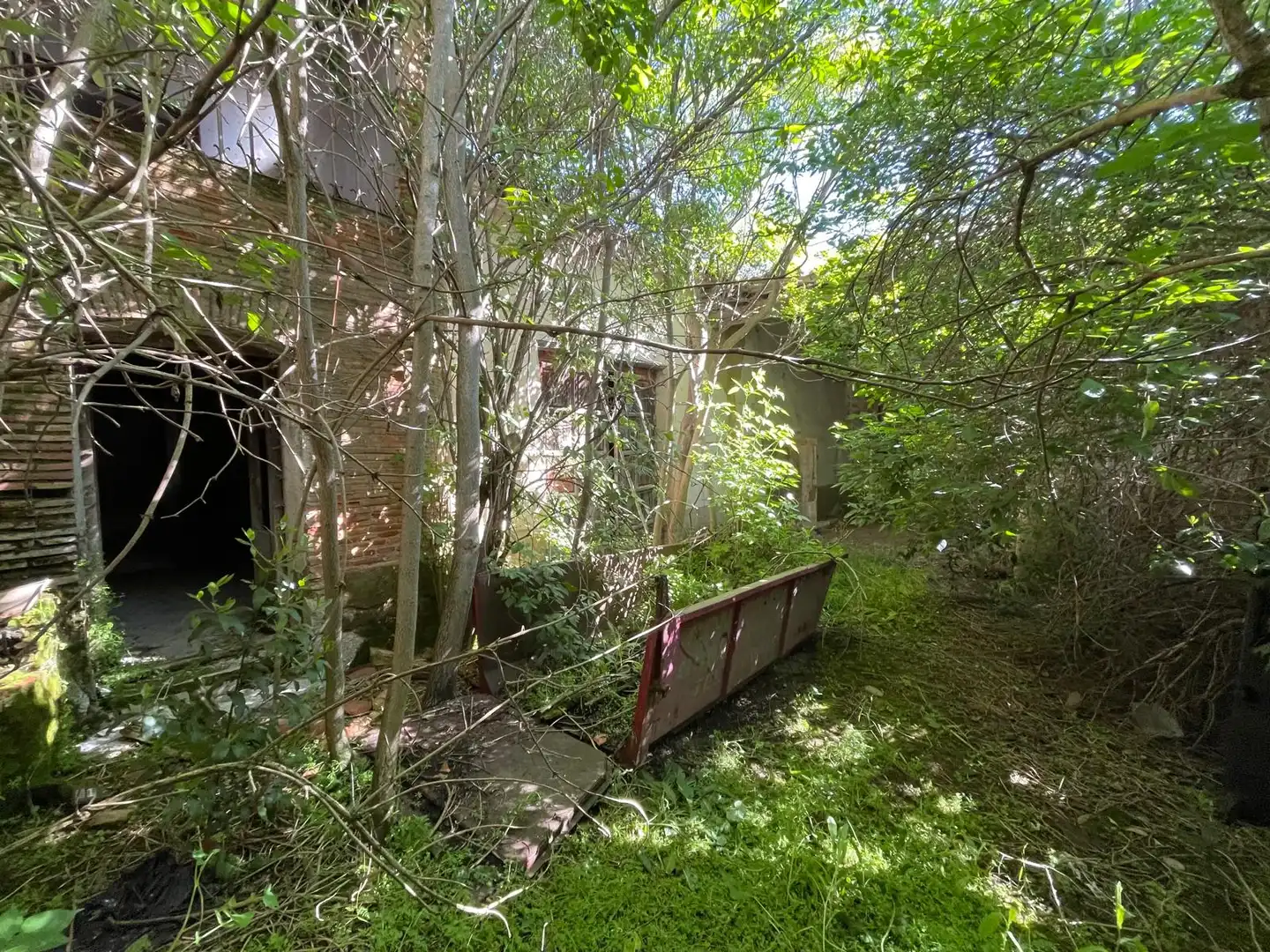 Vista exterior de Finca rústica en venda en Pedrosa del Rey amb Jardí privat, Parquet i Traster