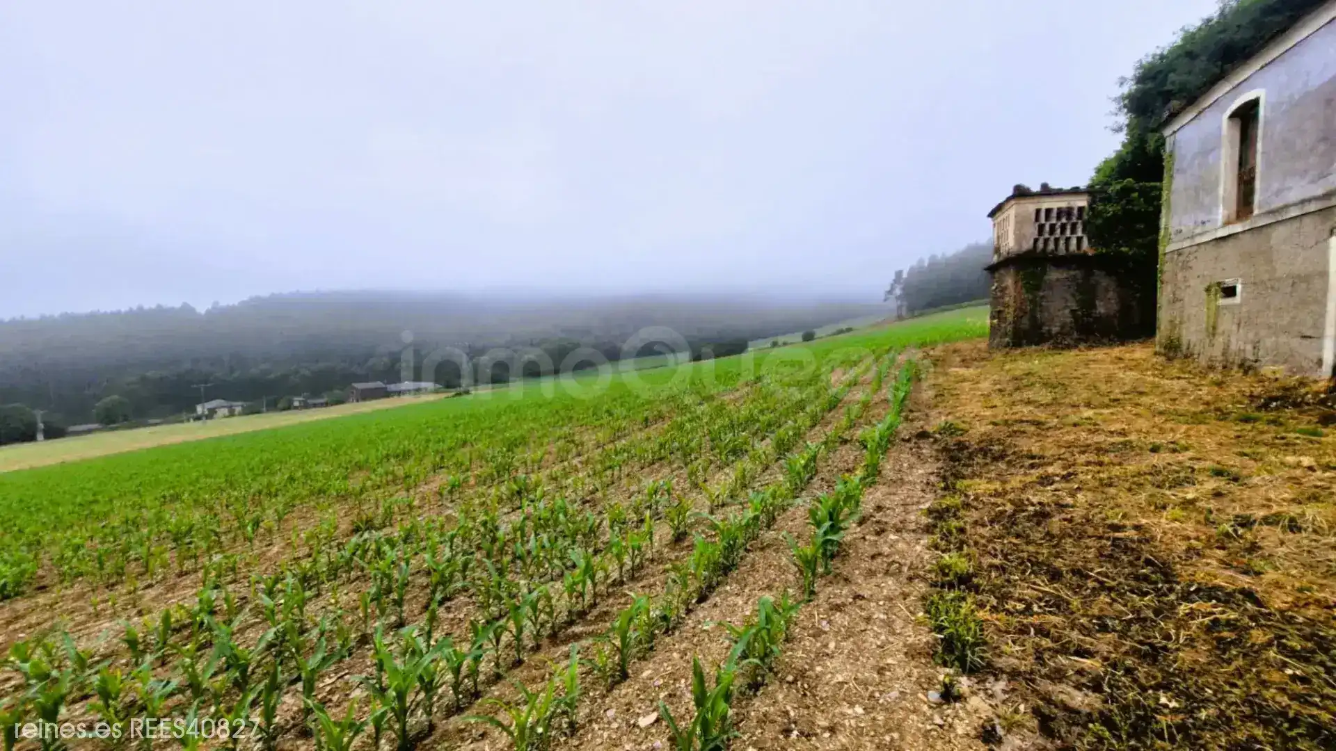 Casa o xalet en venda en Trabada amb Jardí privat