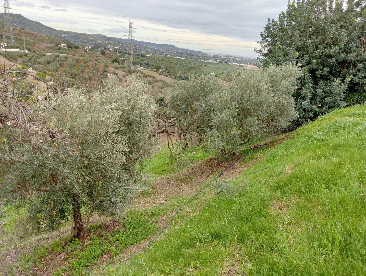 Casa o xalet en venda en Cártama amb Jardí privat, Traster i Piscina