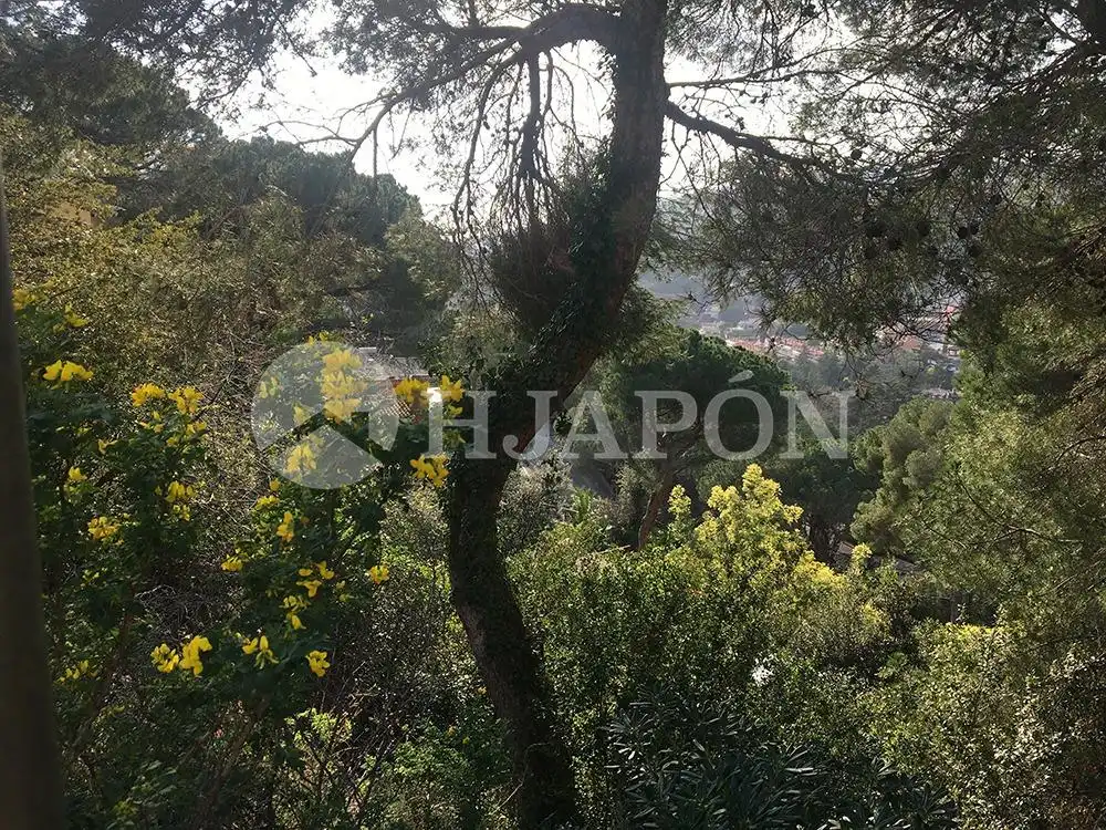 Terreny residencial en venda a Cabrils, imagen 2
