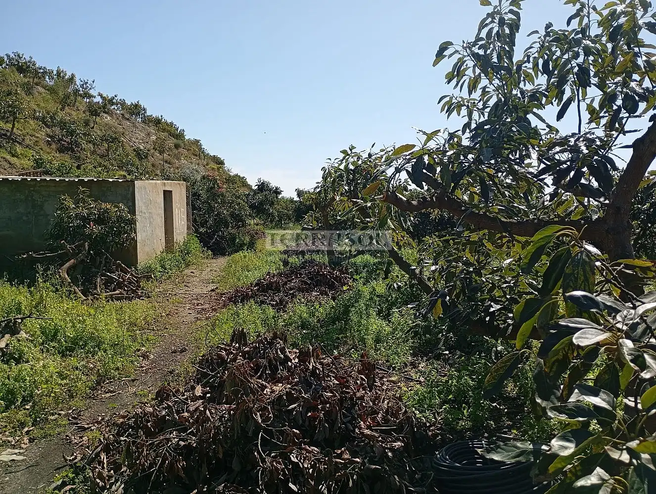 Grundstücke und Bauplätze zum Verkauf in Vélez-Málaga ciudad, imagen 24