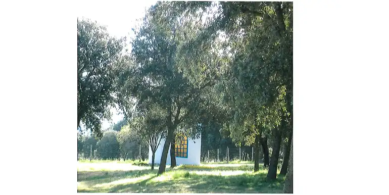 Terreni e lotti in vendita a Marugán, imagen 23