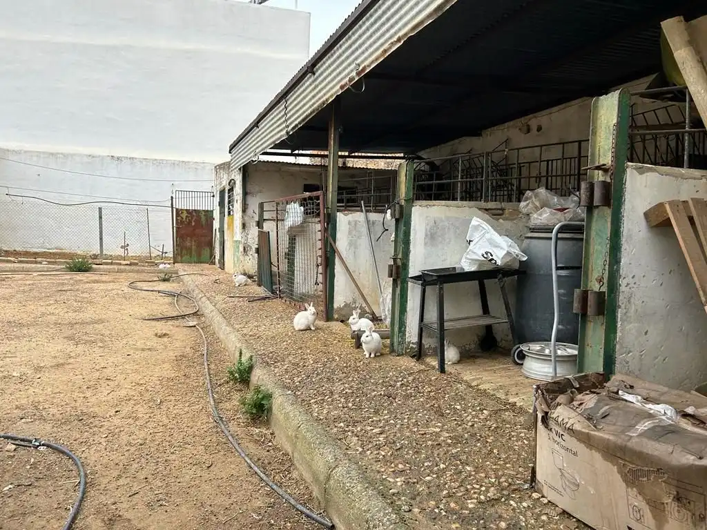 Local comercial en venta en Bollullos Par del Condado, imagen 2