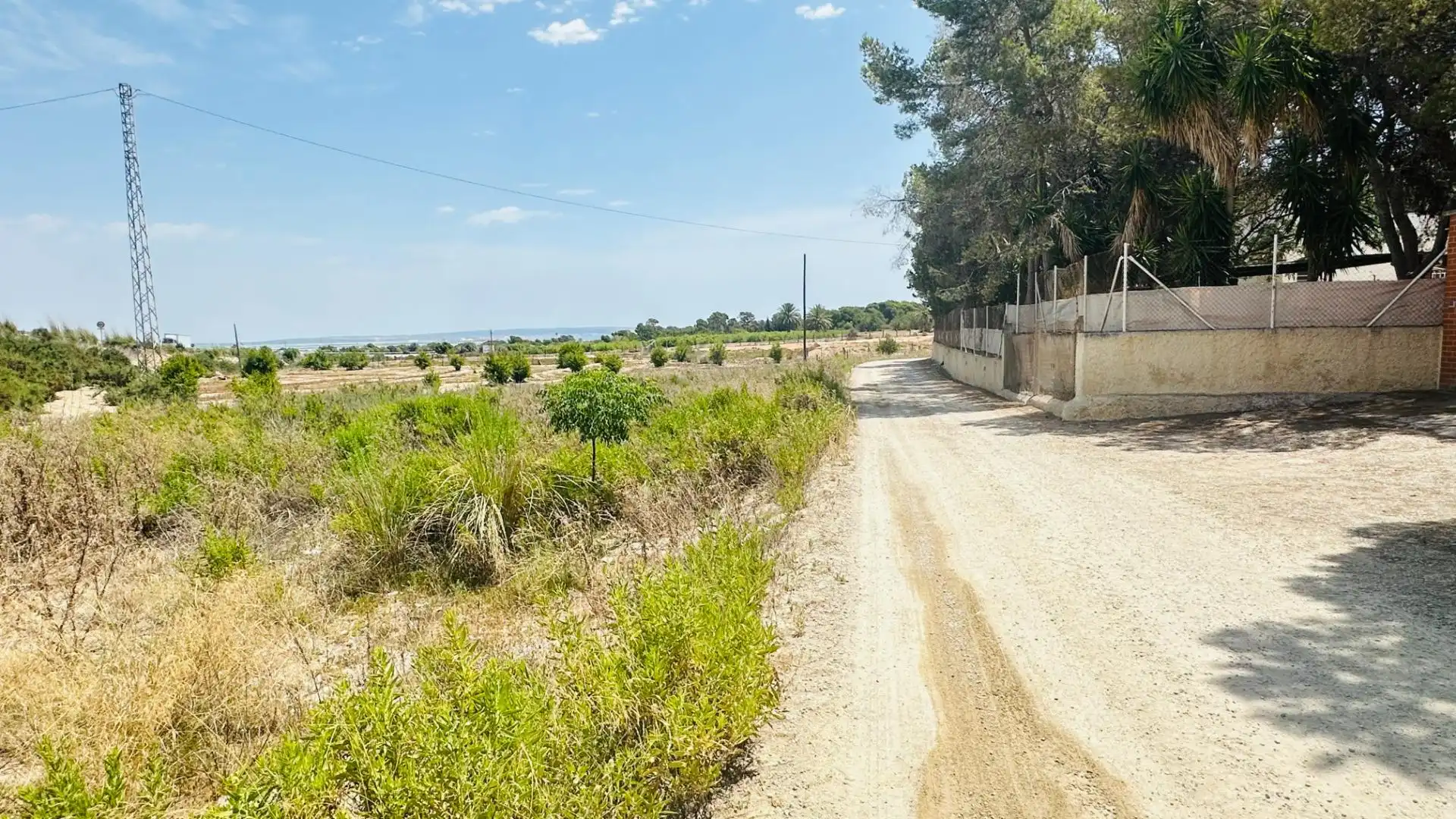 Terrain rustique à vendre à La Marina, imagen 19