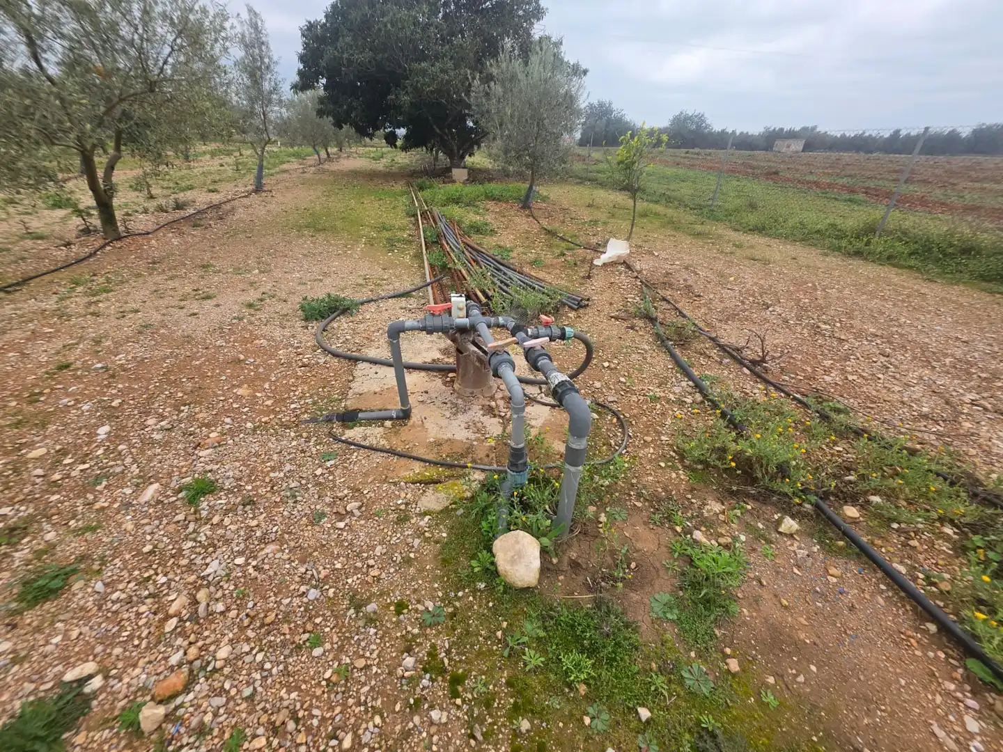 Terreno rustico in vendita a Santa Bàrbara, imagen 30