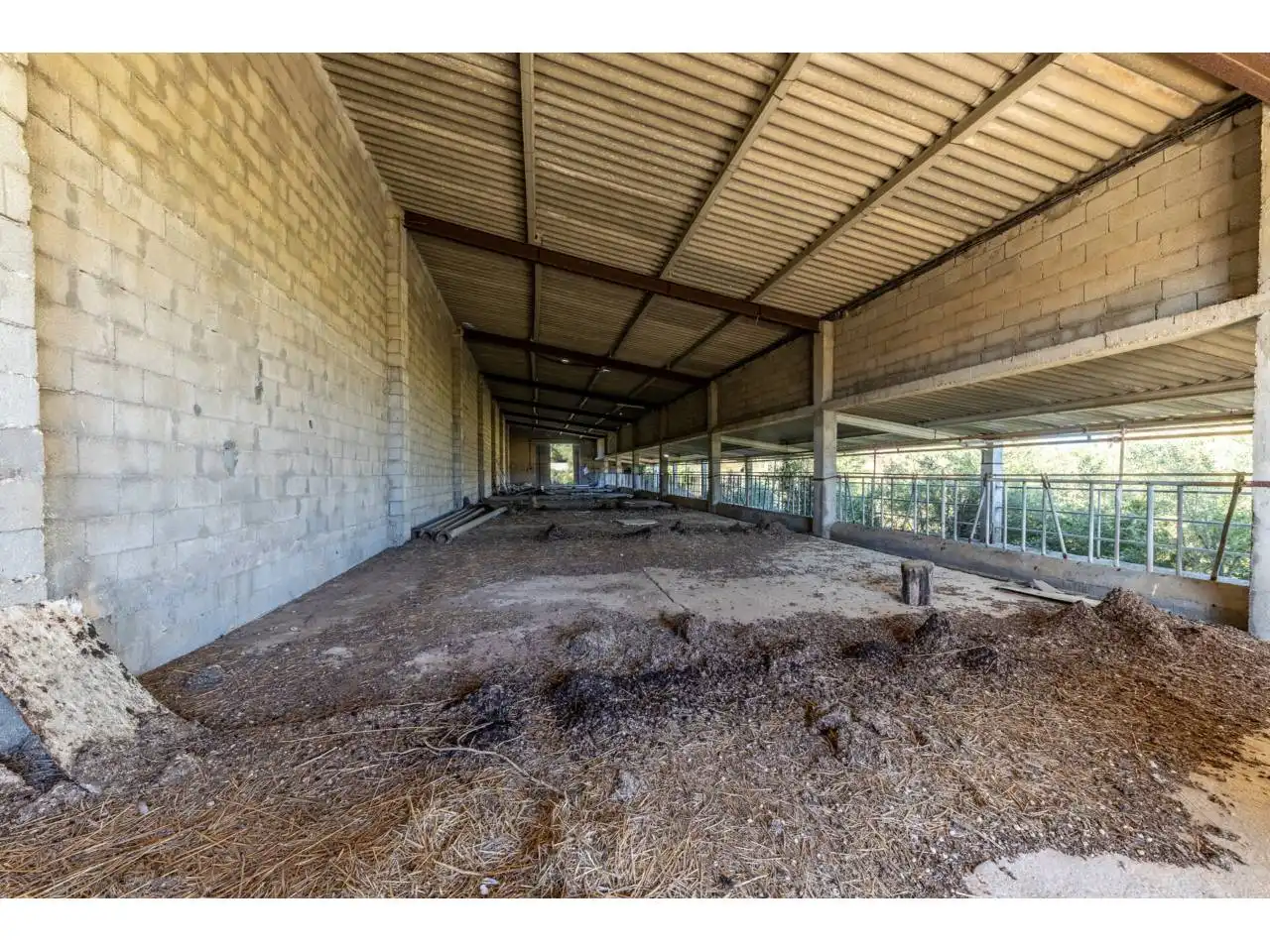Terreno rustico in vendita a Llucmajor pueblo, imagen 56