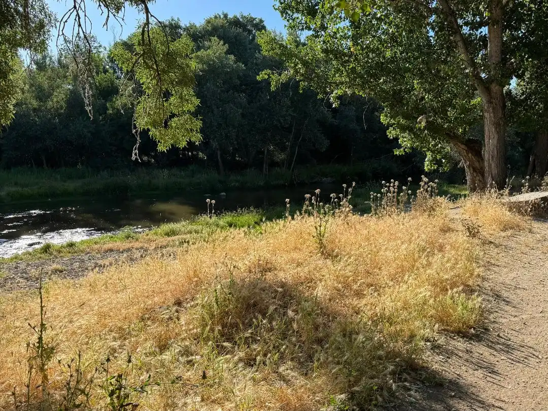 Terreno en venta en Paracuellos de Jarama