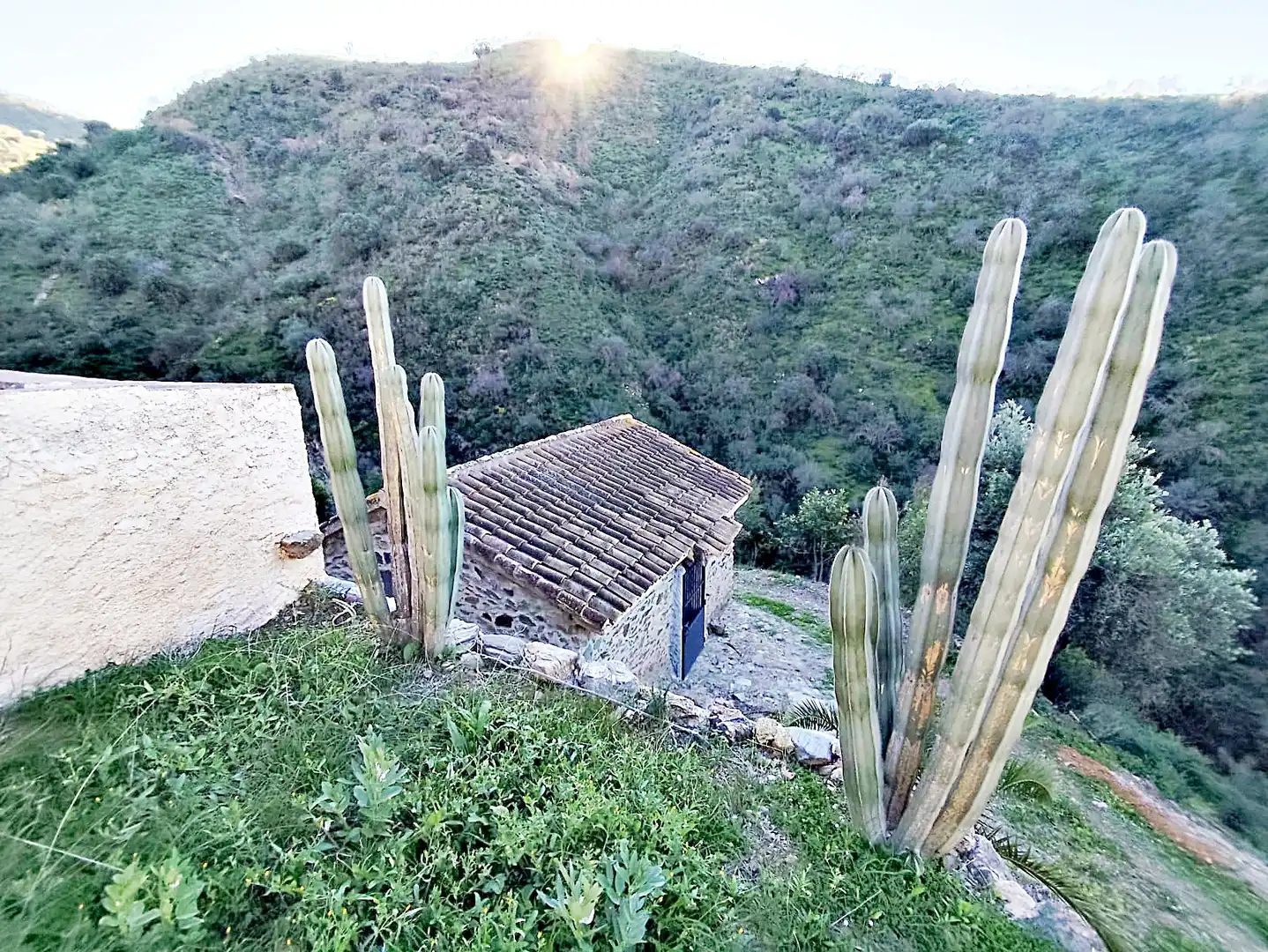 Vista exterior de Finca rústica en venda en Pizarra amb Terrassa