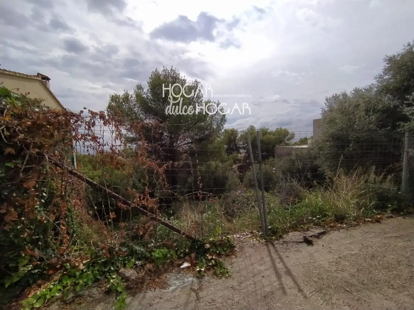 Terreno rustico in vendita a ANTILLES, imagen 3