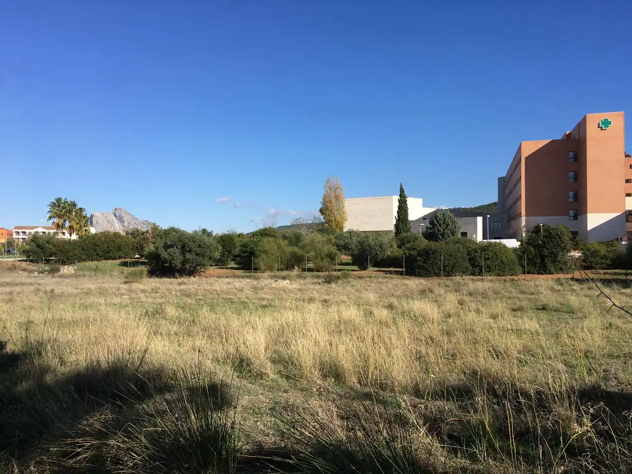 Lands and plots for sale in Poeta Muñoz Rojas, imagen 8