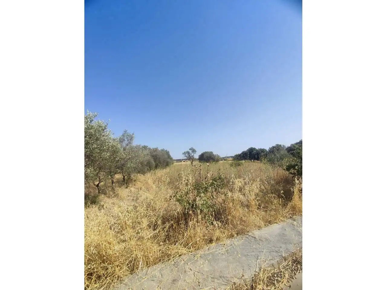 Terreno industrial en venta en Fonz