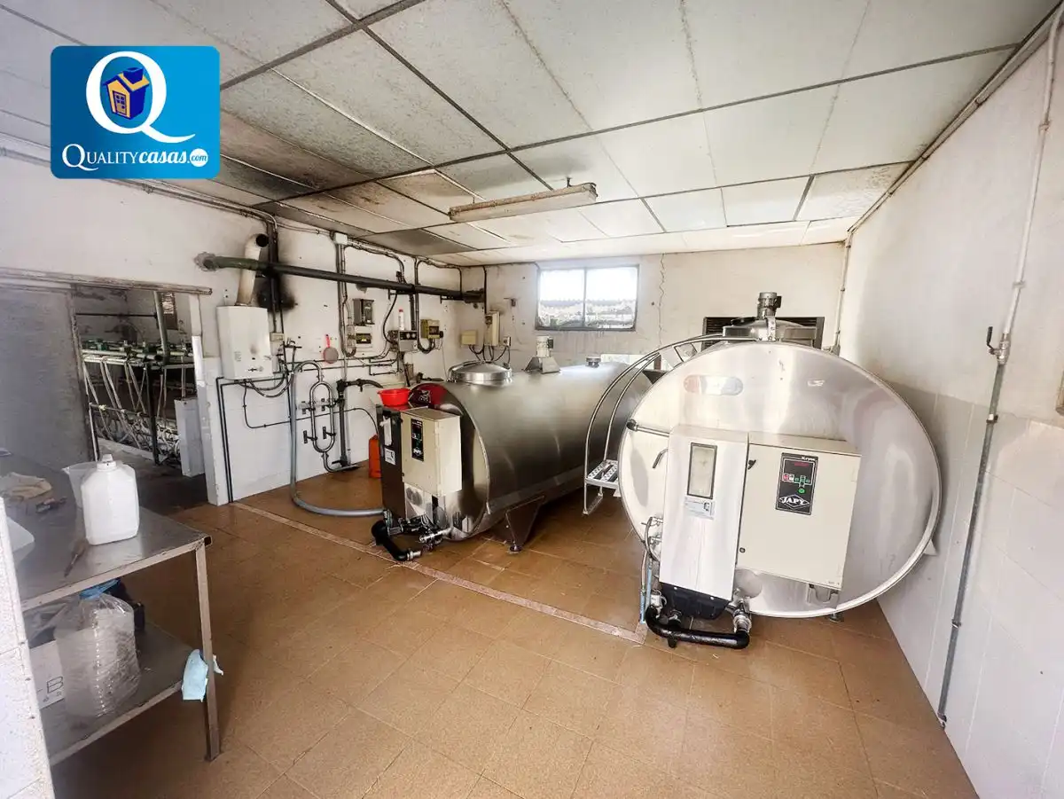 Casa o chalet en venta en Crevillent con Terraza