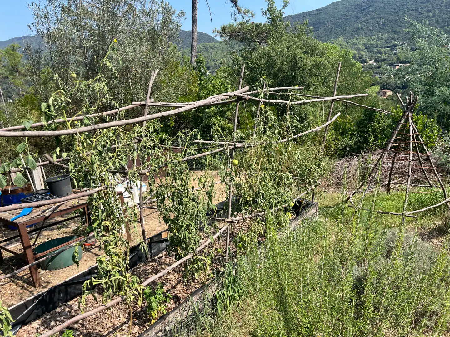 Jardín de Terreno en venta en Sant Martí de Llémena