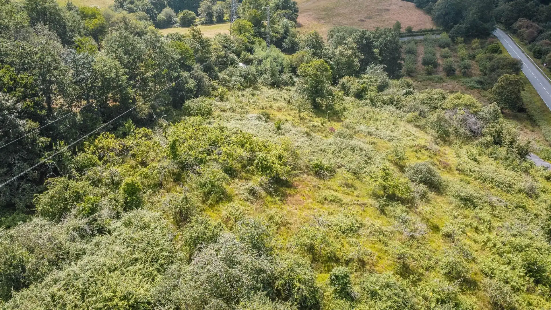 Rural land for sale in del pareo, imagen 19
