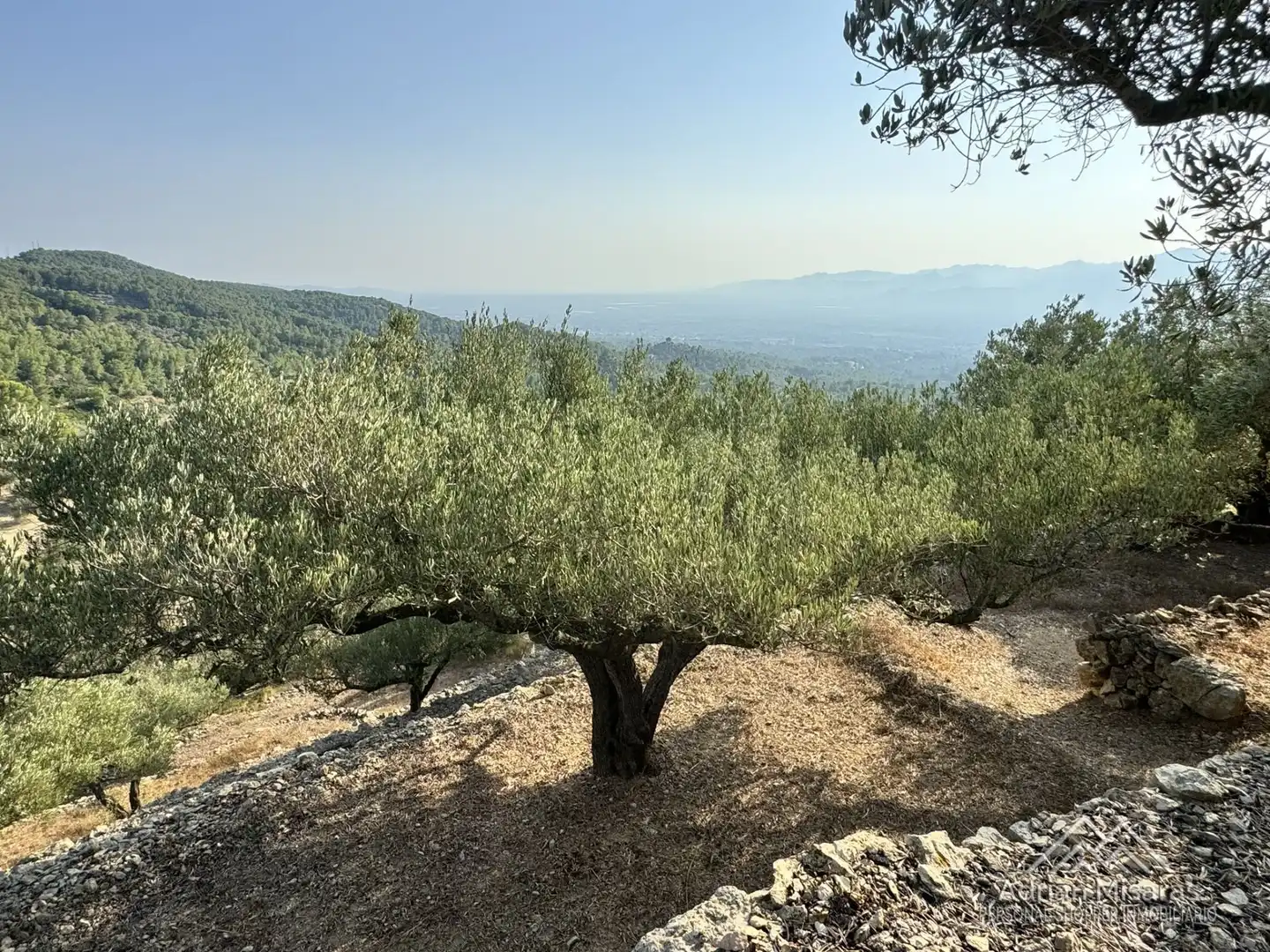 Jardín de Terreno en venta en Tortosa