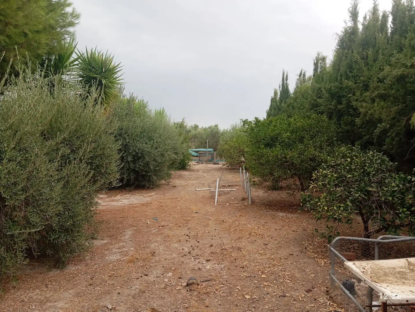 Detached house for sale in Totana, imagen 42