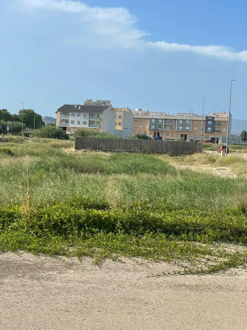 Terreny rústic en venda a Ceutí, imagen 4