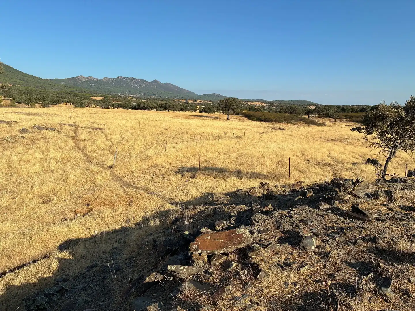 Rural land for sale in Puerto de San Vicente, imagen 5