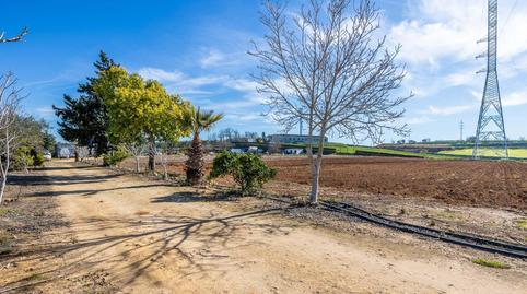 Foto 3 de Finca rústica en venda a Nueva Alcalá, Alcalá de Guadaira