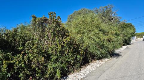 Foto 3 de Residencial en venda a Los Caños de Meca, Cádiz