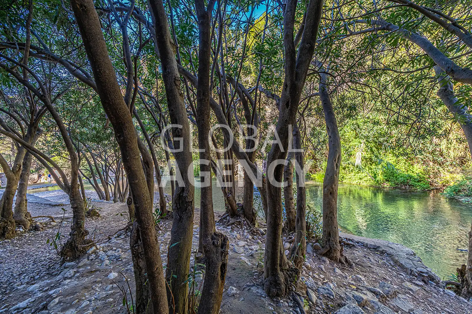 Terreno rústico en venta en La Navata, imagen 4