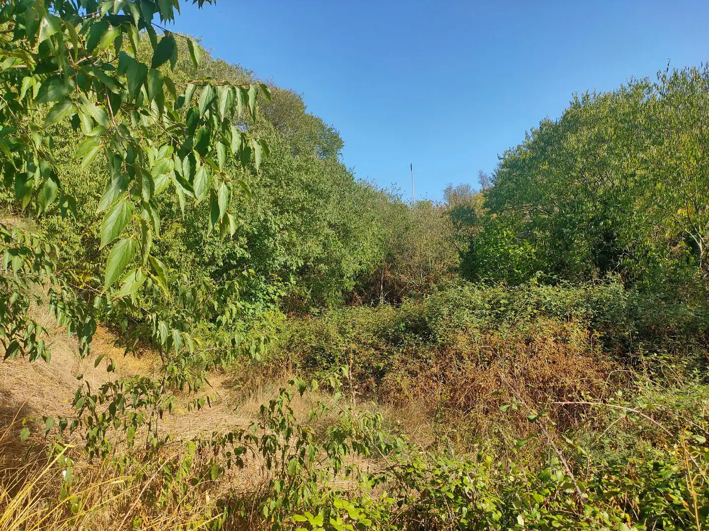 Terreno en venta en Pozán de Vero