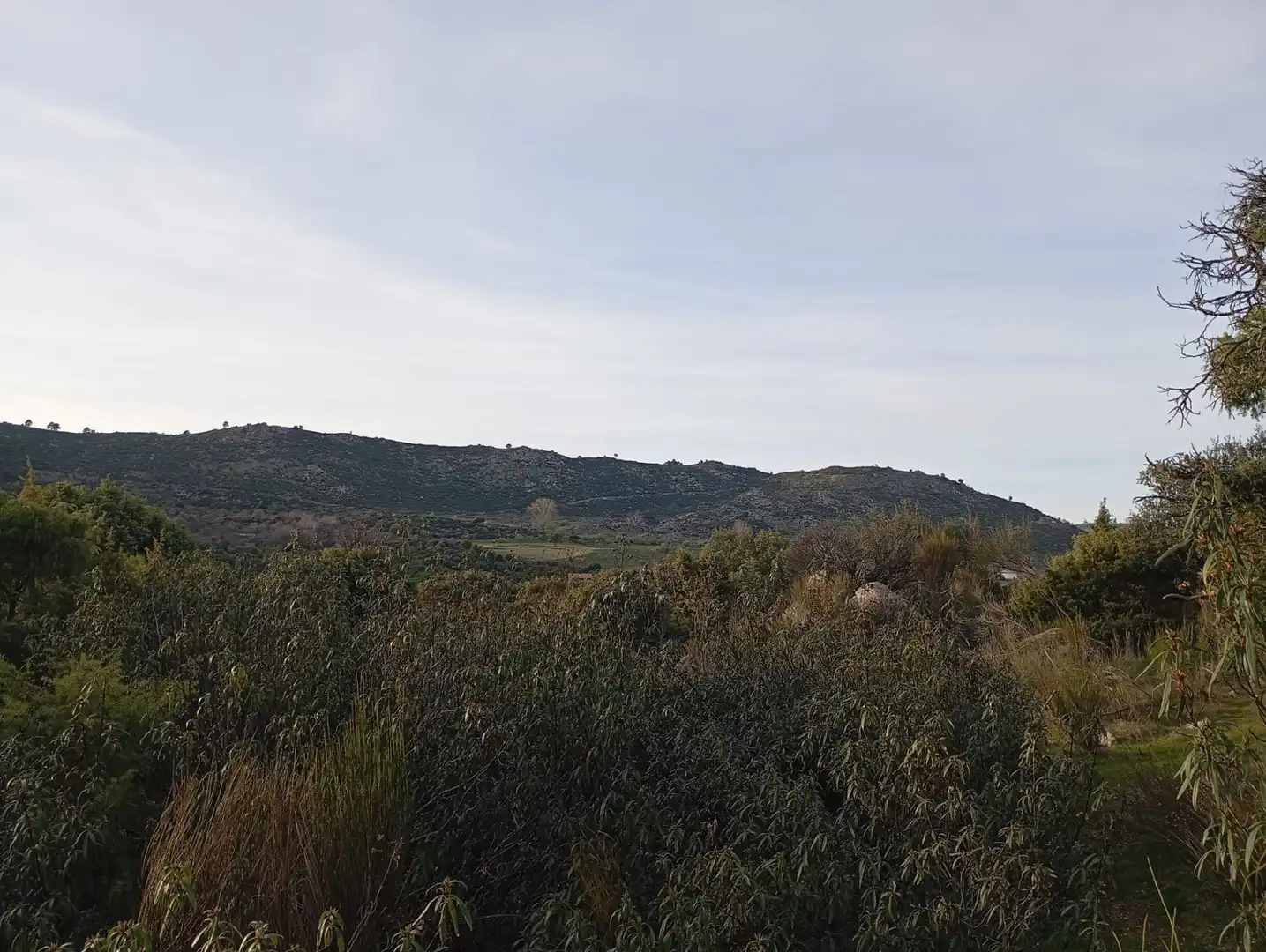 Terreno rustico in vendita a Fresnedillas de la Oliva, imagen 21