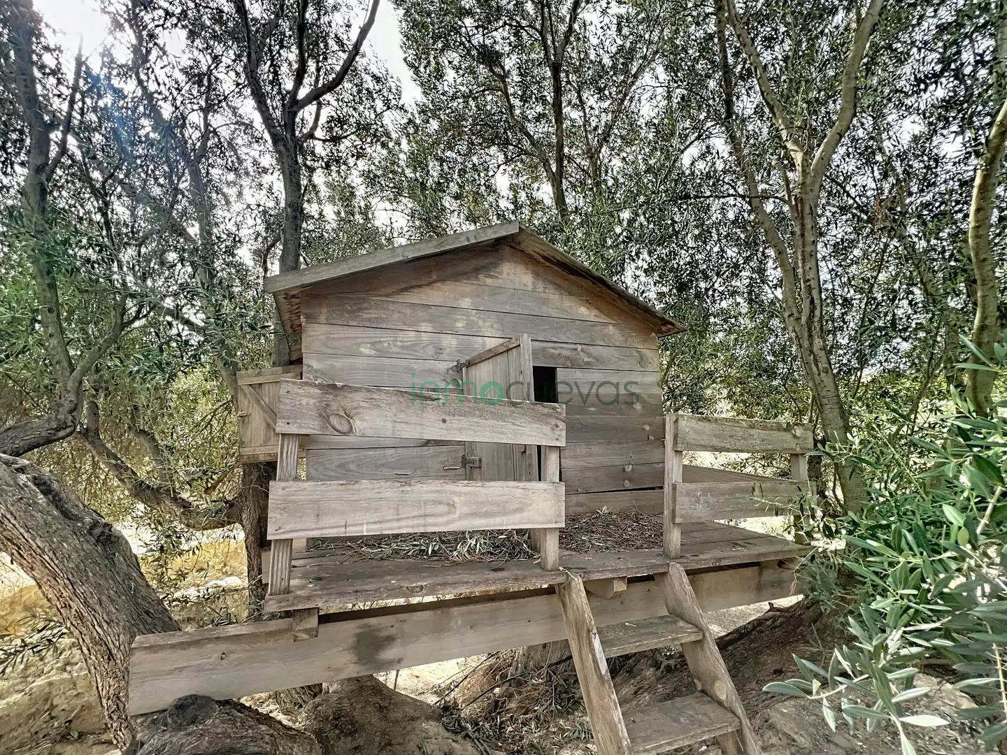 Landhaus mit Garten zum Verkauf in Las Cunas - La Algarrobina, imagen 18