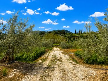 Terreno rustico in vendita a Partida Chozones, 8, 29120, Málaga, Spain