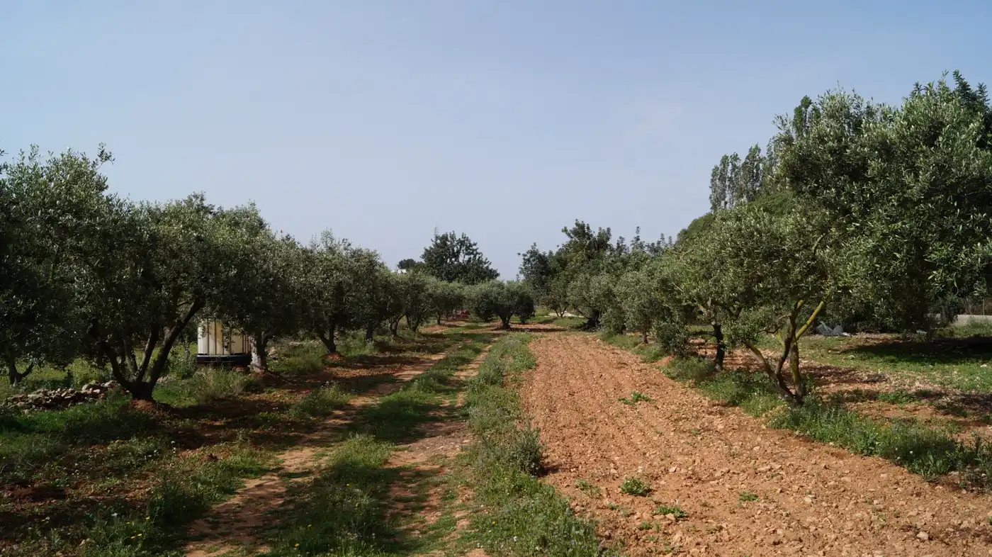 Terreno en venta en Torredembarra