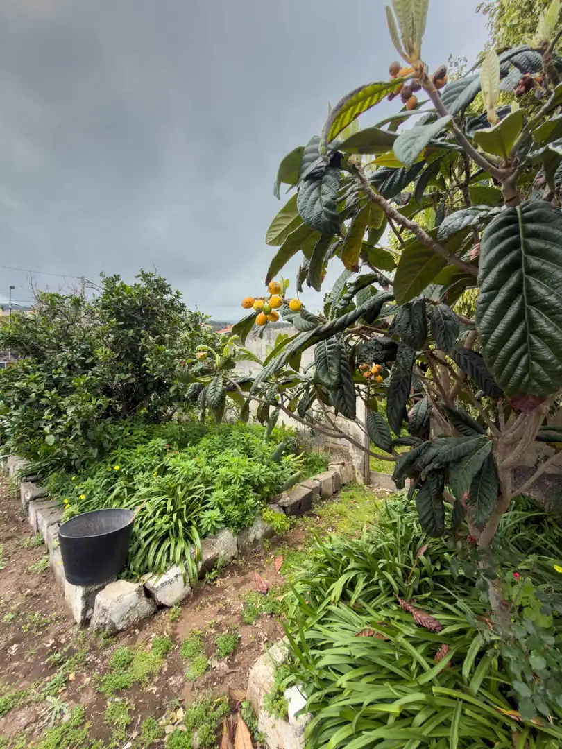 Garden of Houses for sale in Icod de los Vinos  with Private garden, Terrace and Balcony
