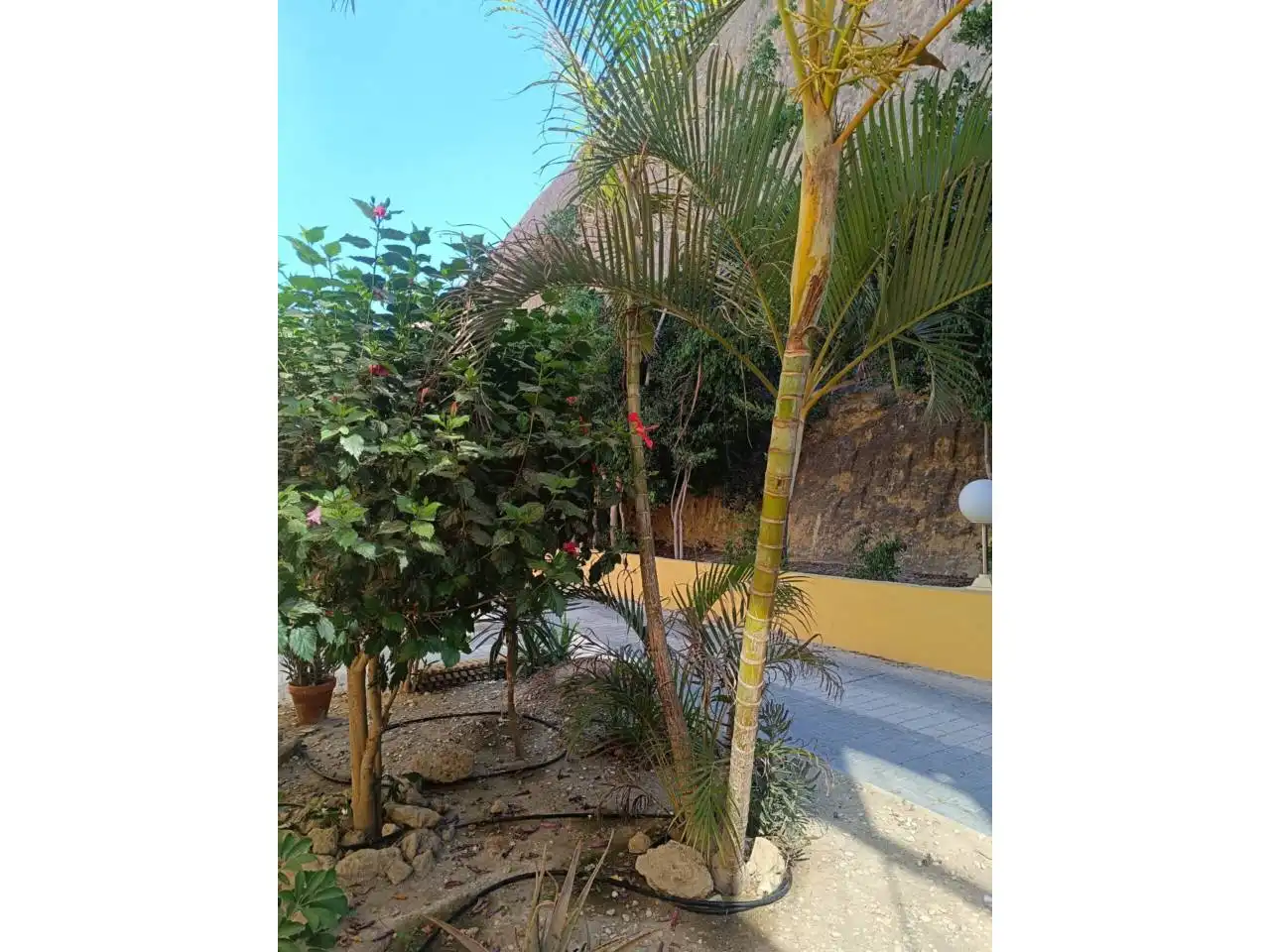 Wohnung mit Pool zum Verkauf in Calle botavara, imagen 17
