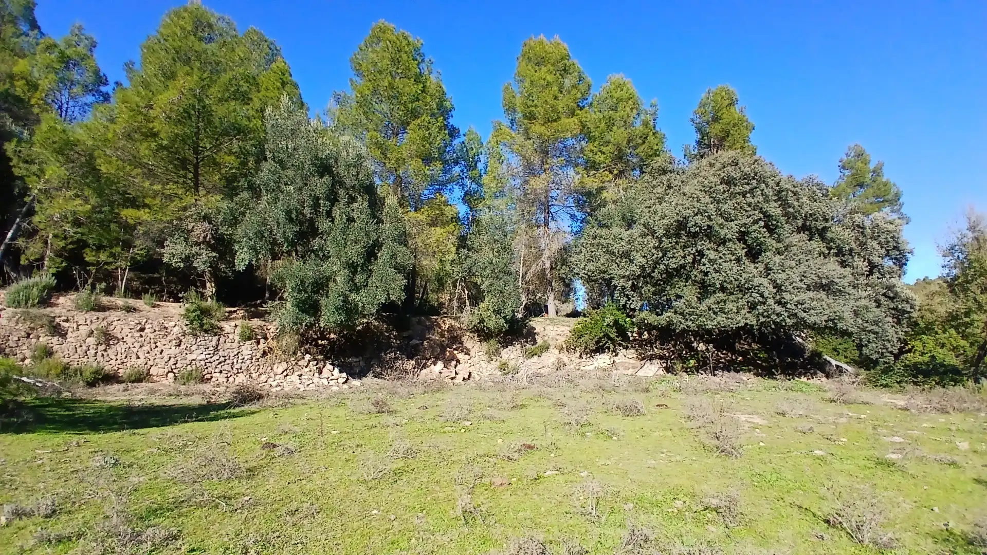 Terreno rustico in vendita a Calle Tremedal 13, imagen 14