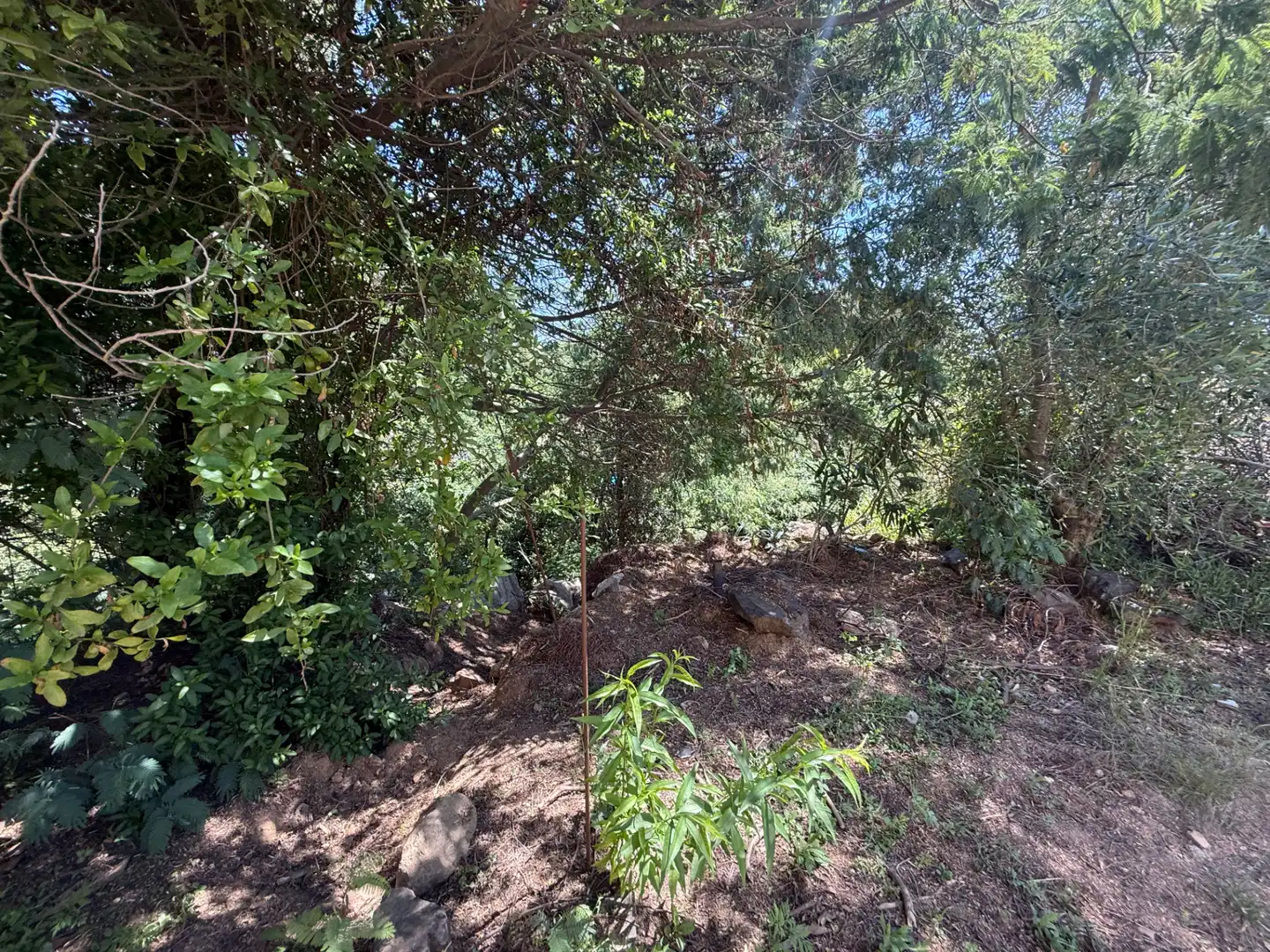 Casa o xalet en venda en Tordera amb Aire condicionat, Calefacció i Jardí privat