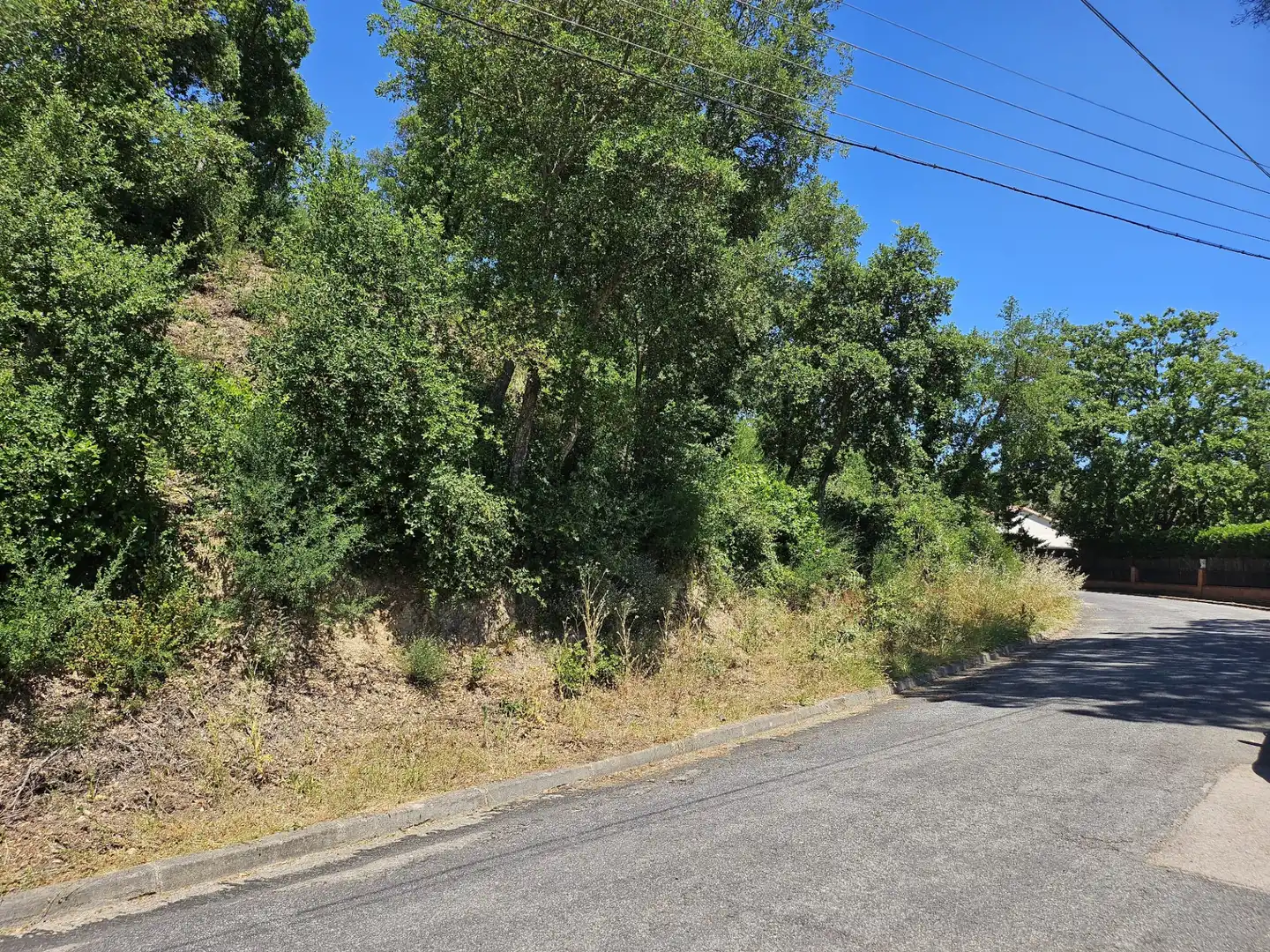 Terreno residencial en venta en Carrer Alzina Surera 54, imagen 2