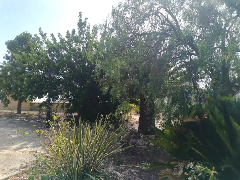 Casa o xalet de lloguer a Sax