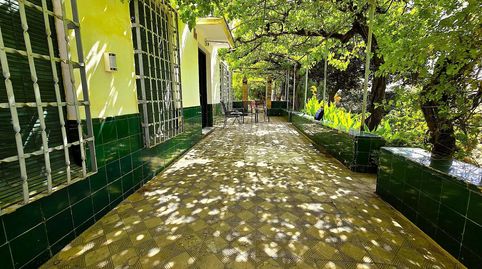Finca Rústica con Casa de Campo, immagine 2