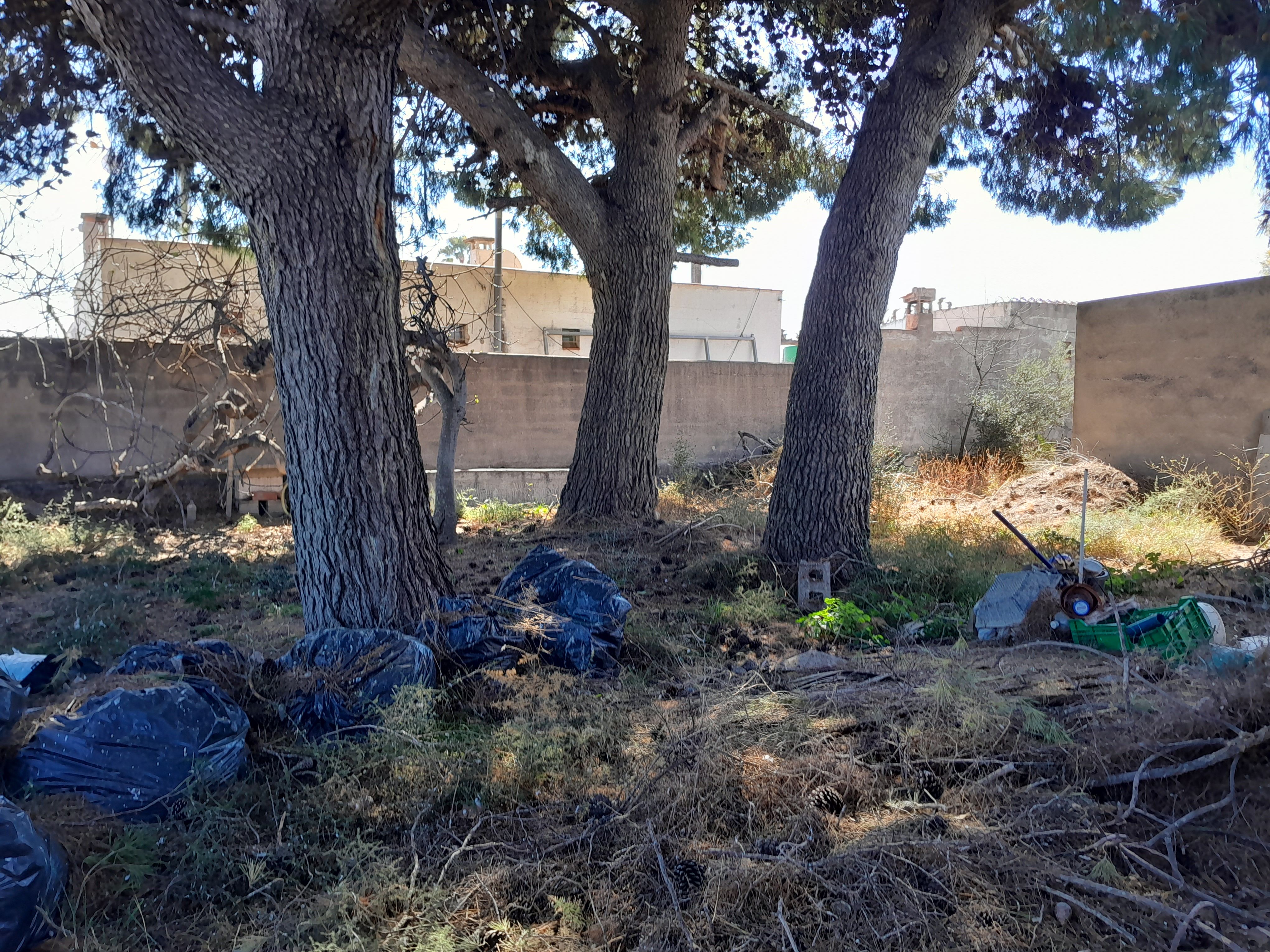Finca rústica en venta en Pueblo