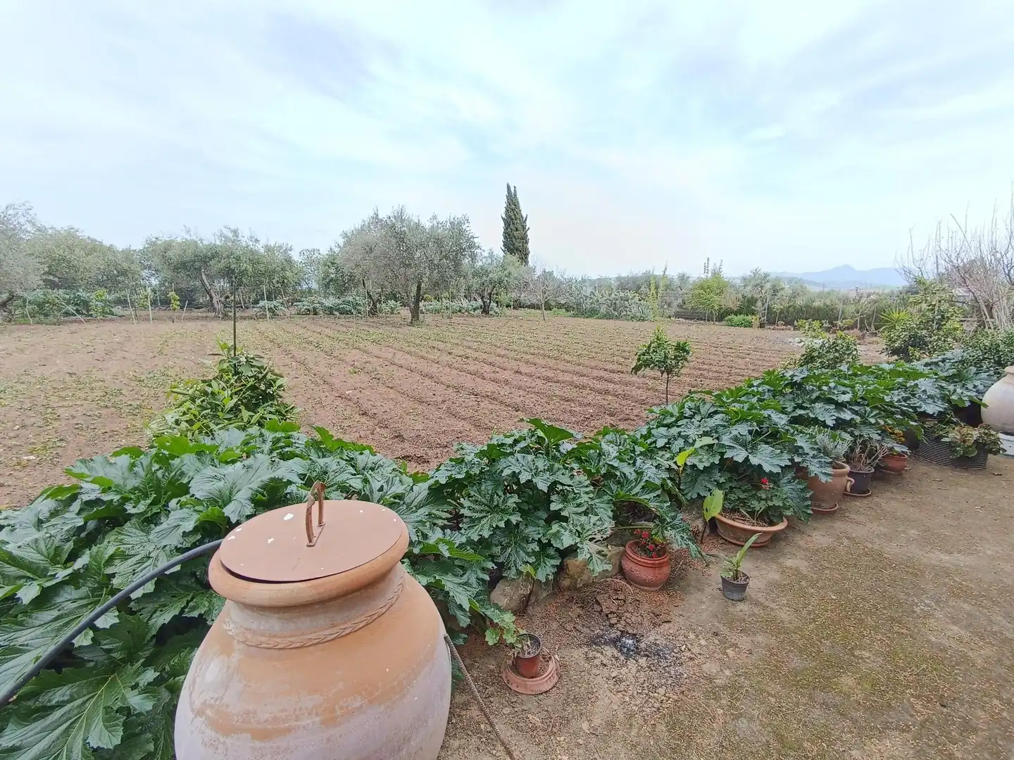 Terreni e lotti in vendita a Villamartín, imagen 15