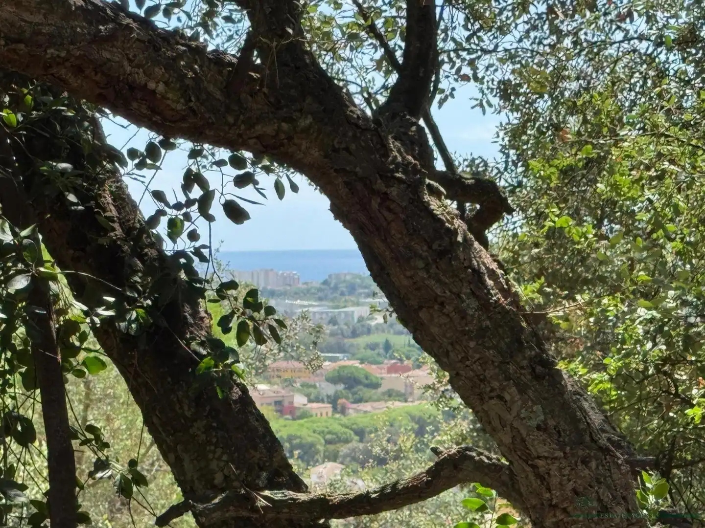 Residential land for sale in Bergueda, imagen 3