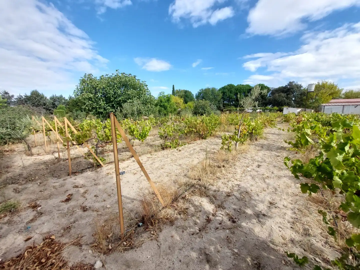Terreni e lotti in vendita a Santa Cruz del Retamar pueblo, imagen 2