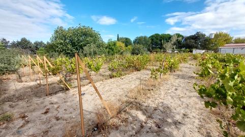 Photo 2 of Land for sale in Santa Cruz del Retamar pueblo, Toledo