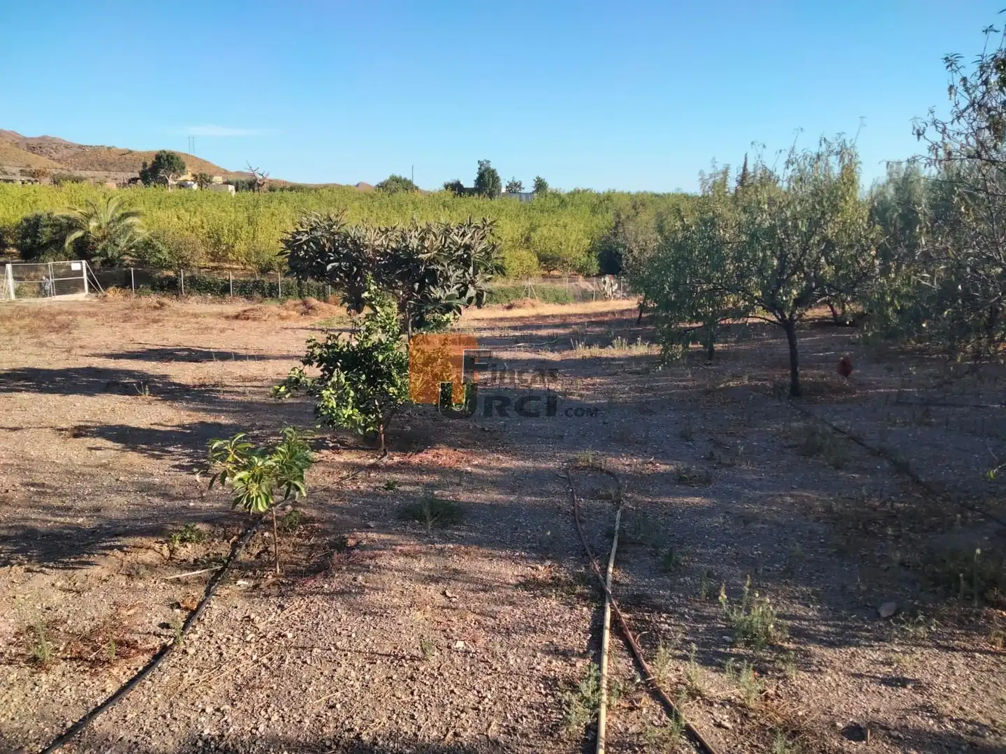 Casa o chalet en venta en Tébar - Los Arejos