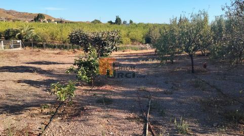 Foto 3 de Casa o chalet en venta en Tébar - Los Arejos, Águilas