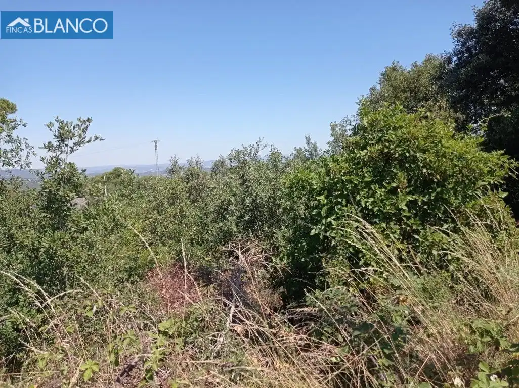 Residential for sale in Calle Montserrat, Mediona